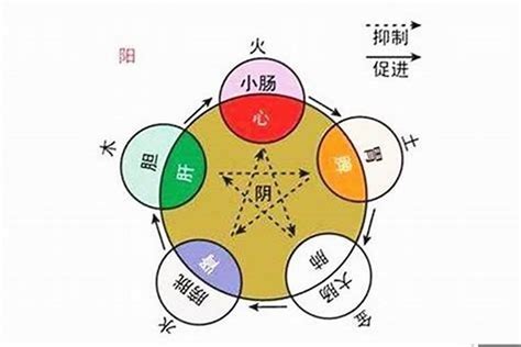 祥五行|祥的五行属性是什么